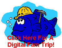 Click Here For A 
Digital Fam Trip!