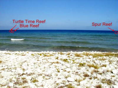 3 reefs are right in front of the beach!!! -- There are three moored reefs directly in front of Scuba Blues shoreline! Go to the "Diving" page of this website to learn more about the great diving you will enjoy. (Underwater scooters will make the sites a