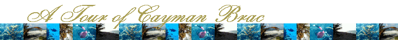 A Tour of Cayman Brac