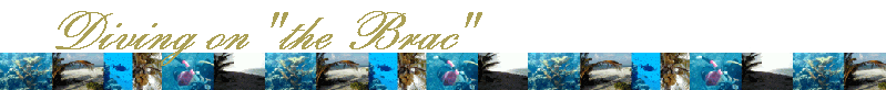 Diving on "the Brac"