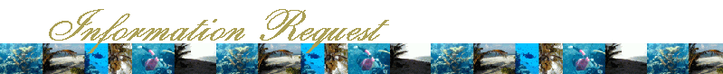 Information Request