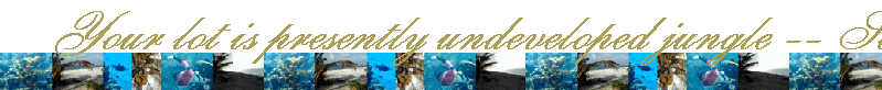 Your lot is presently undeveloped jungle -- So, you get to be a pioneer! Although the land is now undeveloped jungle, all it requires is clearing to make it your personal island hideaway!