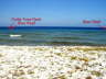 3 reefs are right in front of the beach!!! -- There are three moored reefs directly in front of Scuba Blues shoreline! Go to the "Diving" page of this website to learn more about the great diving you will enjoy. (Underwater scooters will make the sites awScub